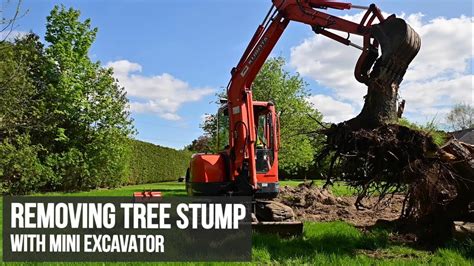 pulling stumps with mini excavator|kubota mini stump removal.